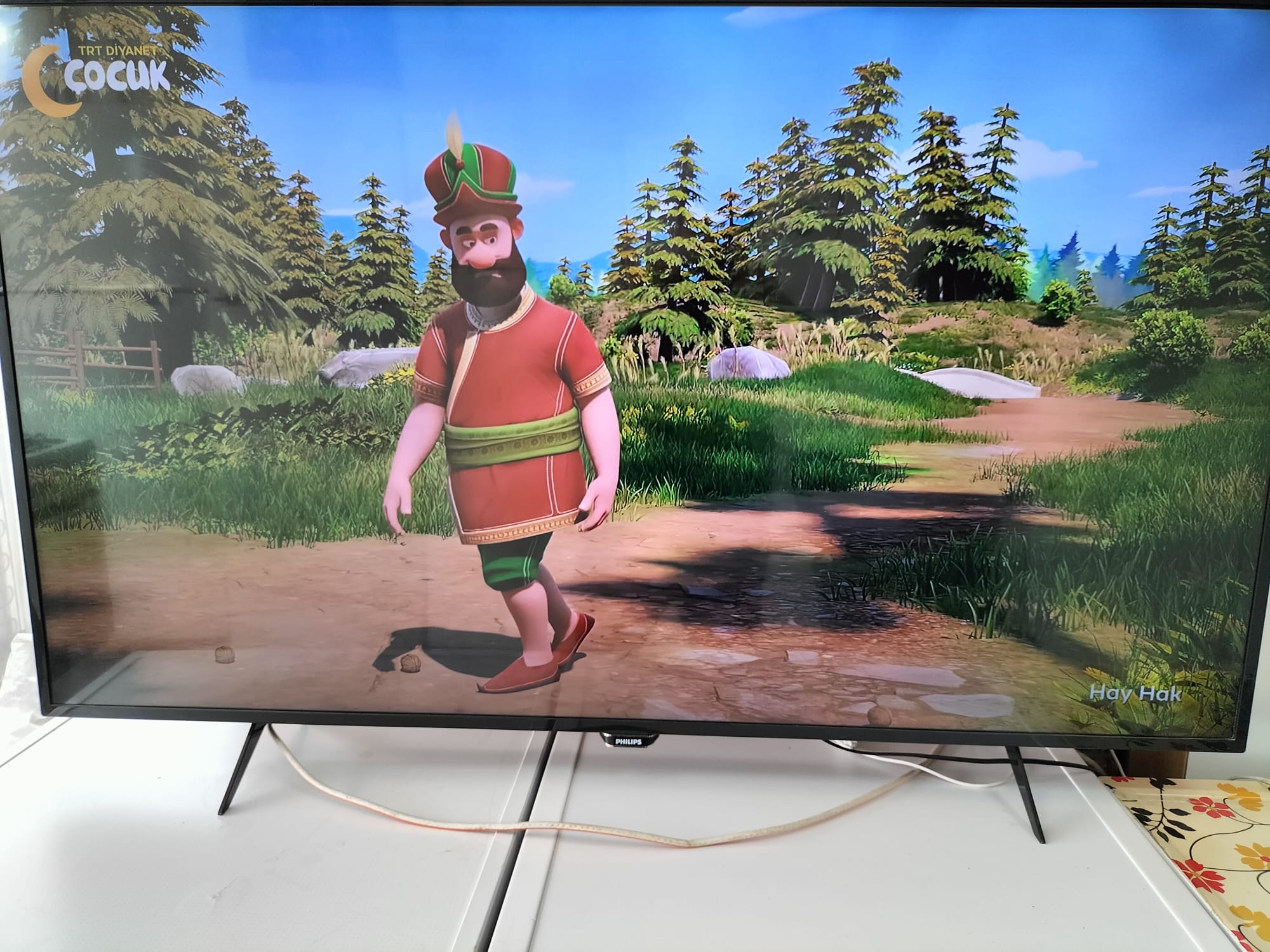 Kayseri İkinci El PHILIPS 140 Ekran TV